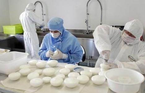 矽膠豐胸產品價格 矽膠豐胸產品價格