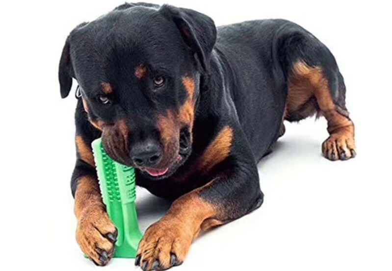 矽膠玩具定製 矽膠玩具定製