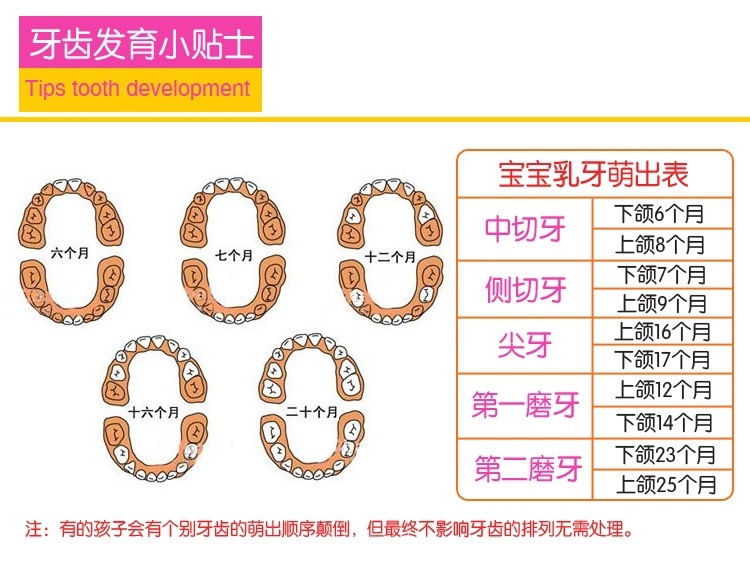 兒童矽膠牙膠,水果圖案牙膠 兒童矽膠牙膠,水果圖案牙膠